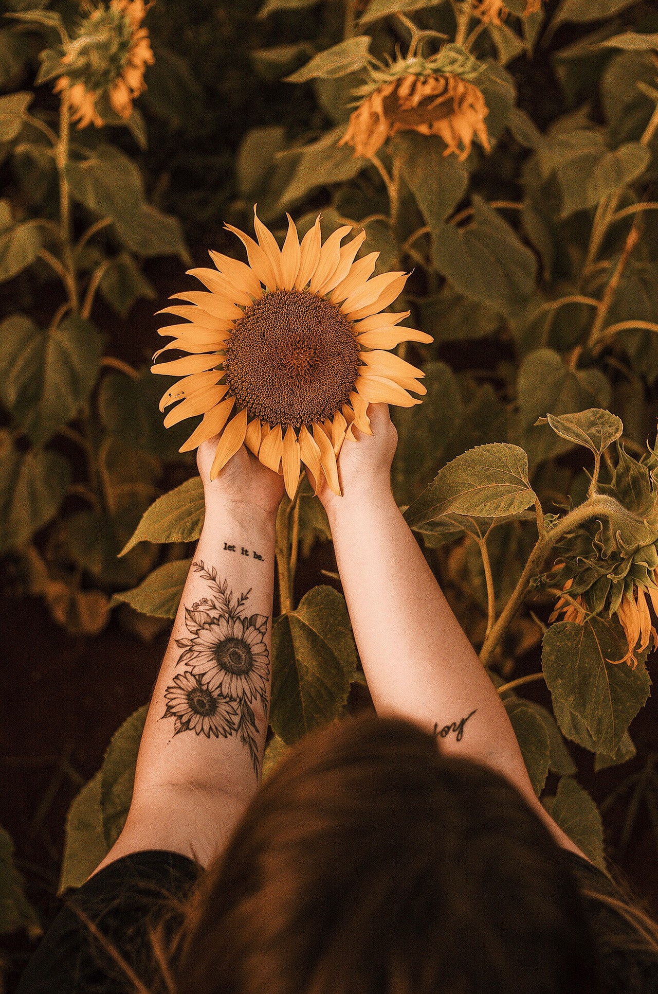 Significado da tatuagem de Girassol - Blog Tattoo2me