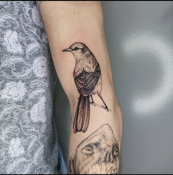 Foto de tatuagem feita por Gui Gibi (@gui_gibi)