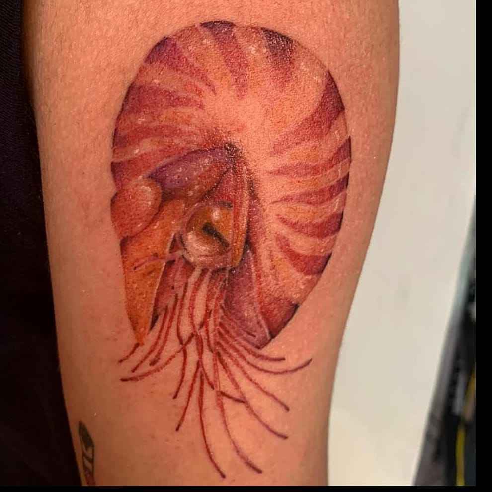 Foto de tatuagem feita por Nila Tchbum (@tchbumnila)