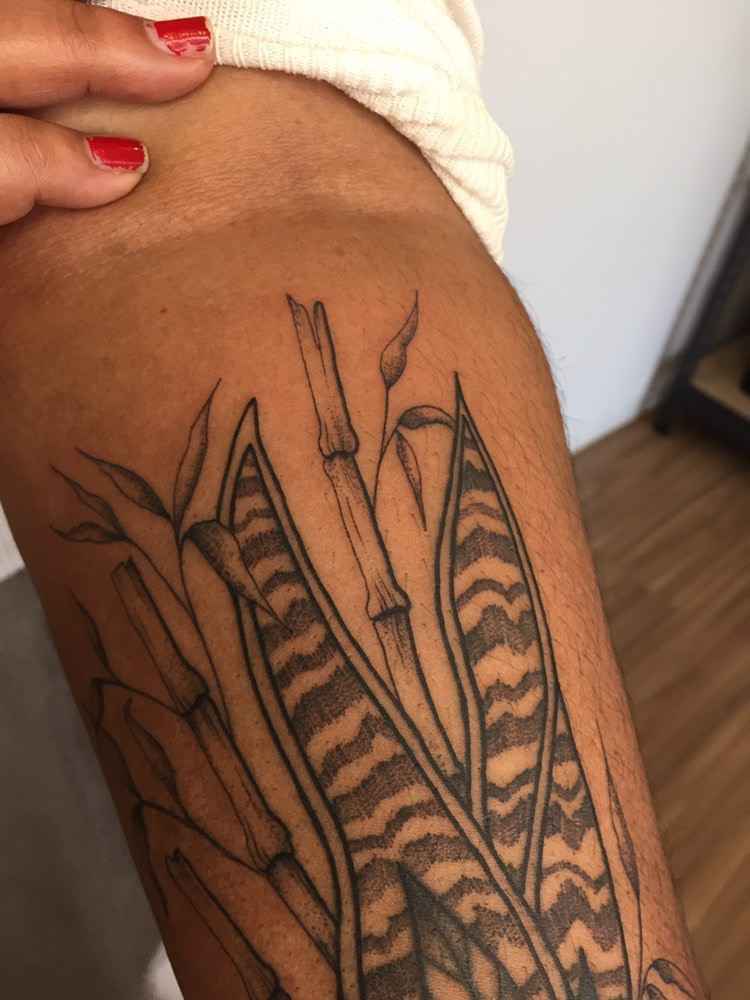 Foto de tatuagem feita por Brenda Falcão (@cigarratattoo)