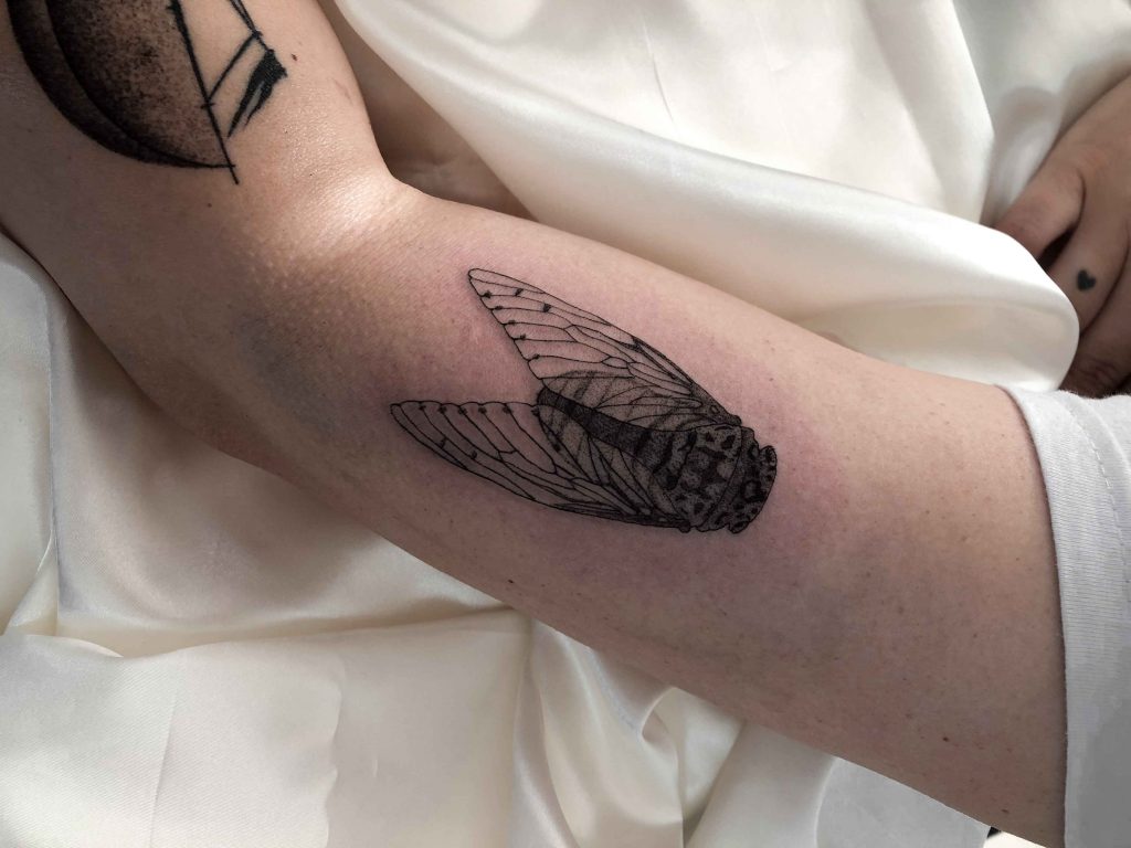 Foto de tatuagem feita por Carolina Cardona (@caracoltattoo__)