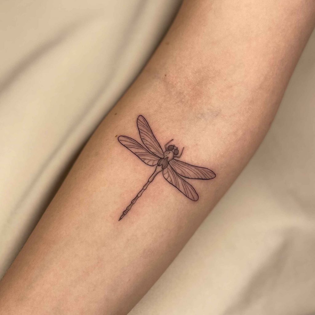 Foto de tatuagem feita por Ana Gonçalves (@anagoncalves.tattoo)