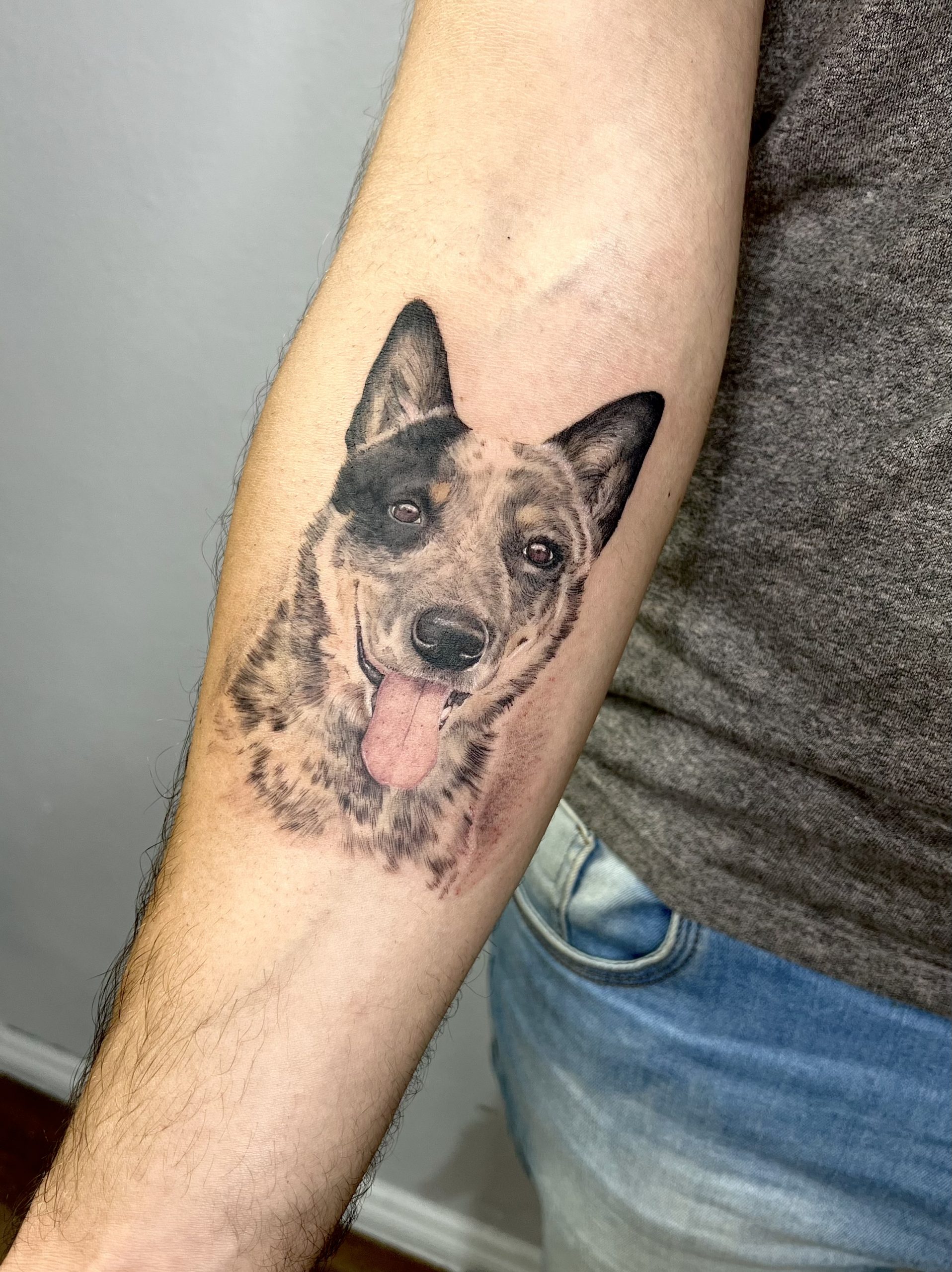 Tattoosbycesarperez on Instagram Dog portrait I got to do the other day   Done with starbritecolors  dogportraittattoo dogtattooportrait  animalportraitartist