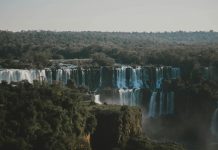 Tatuagem no Paraná: tatuagem com precisão, sensibilidade e força criativa Photo by Tatiane Herder: https://www.pexels.com/photo/aerial-photography-of-waterfalls-surrounded-by-green-trees-2851516/